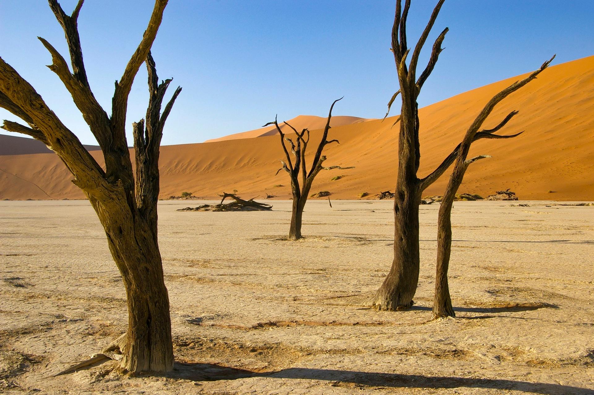 12-day-deadvlei-namibia-moremi-botswana-zimbabwe-zambia-journey-beyond-nature-safaris-737701697