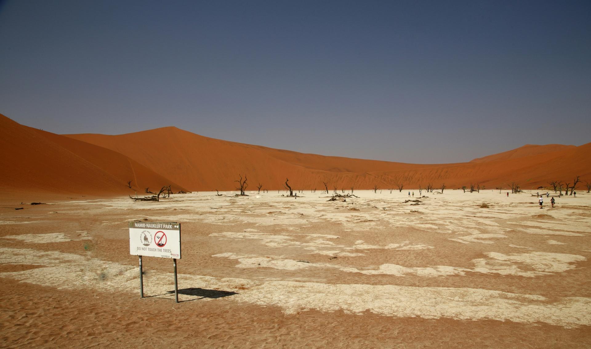 13-day-deadvlei-desert-okavango-chobe-np-moremi-np-victoria-falls-journey-beyond-nature-safaris